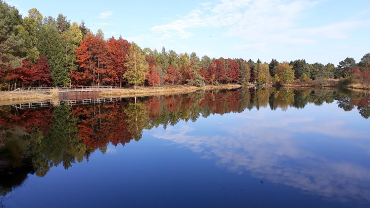 Naturhotel Hof Ehlers Bergen  Bagian luar foto