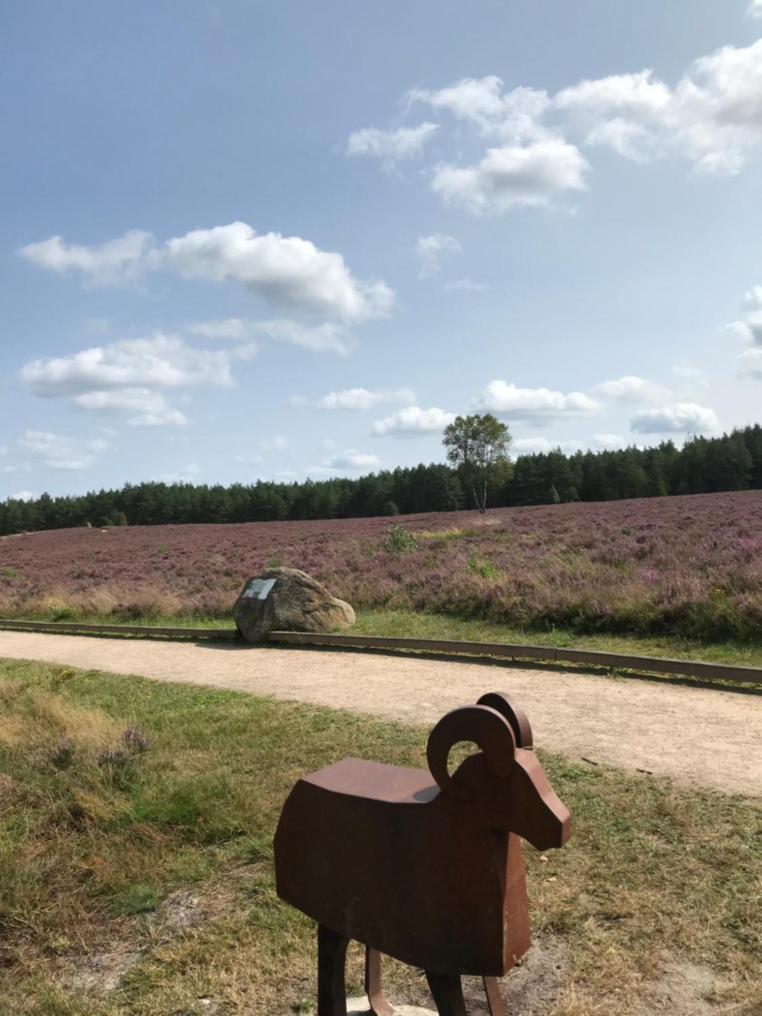 Naturhotel Hof Ehlers Bergen  Bagian luar foto